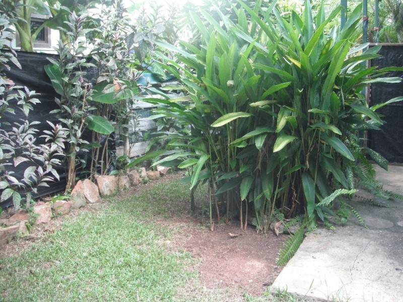 1/44 Sergison Circuit, Rapid Creek NT 0810