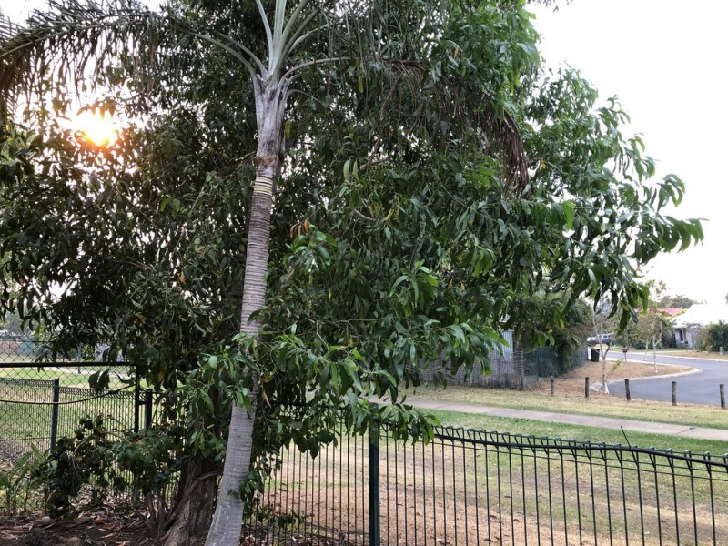 11 Butterfly Court, Gunn NT 0832