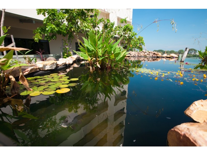 381/12 Salonika Street, Parap NT 0820