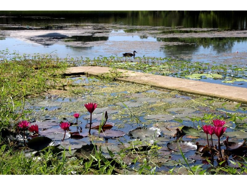 6 Helvetius Court, Durack NT 0830