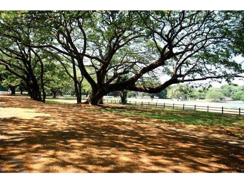 2/6 Mangola Court, Larrakeyah NT 0820