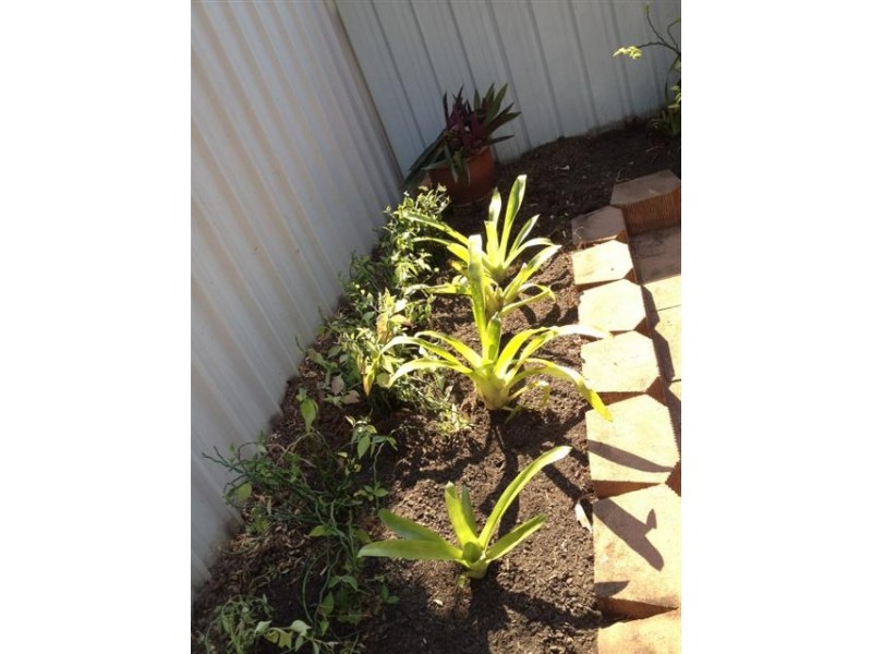 3/10 Timpson Court, Gray NT 0830