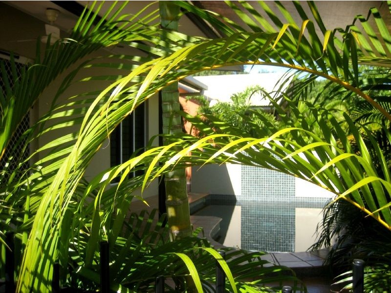 1/8 Sovereign Circuit, Coconut Grove NT 0810