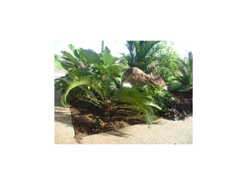 5 Scholes Road, Humpty Doo NT 0836