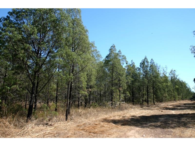 40 Forest Drive, Humpty Doo NT 0836