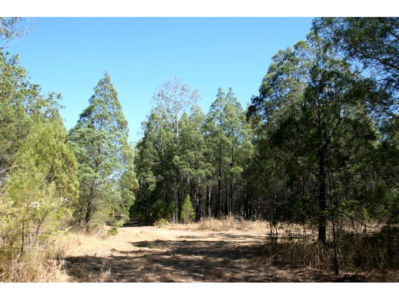 40 Forest Drive, Humpty Doo NT 0836