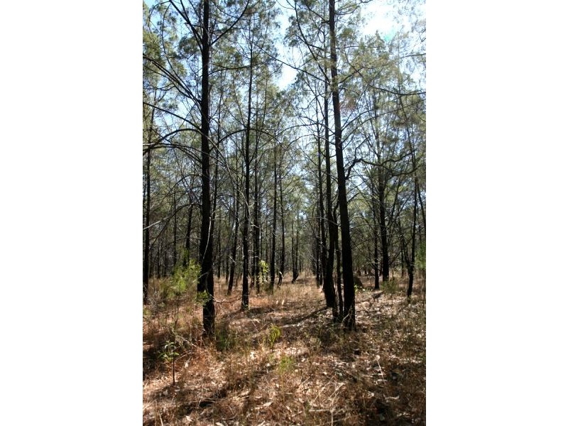 40 Forest Drive, Humpty Doo NT 0836