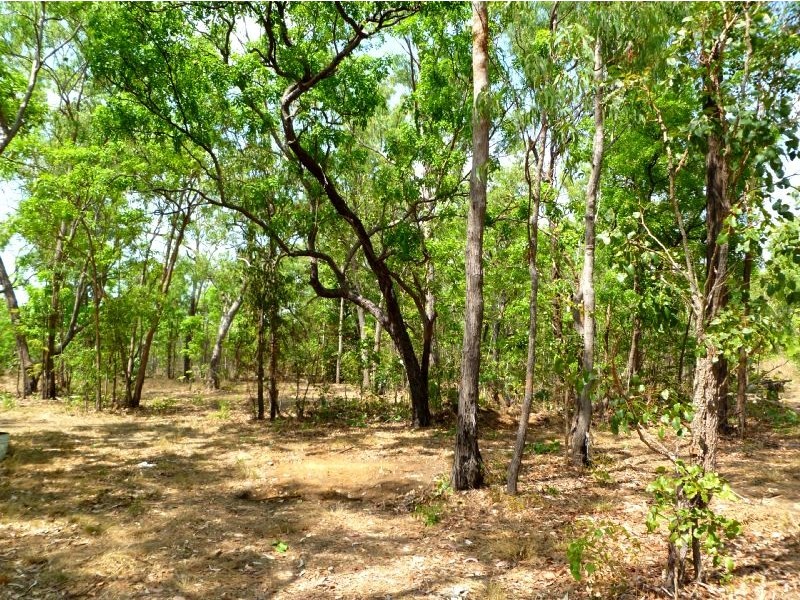 136 McGorrie Road, Marrakai NT 0822