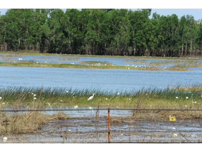 64 McMinns Drive, Mcminns Lagoon NT 0822