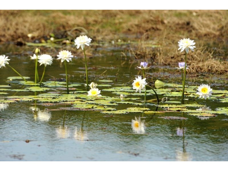 64 McMinns Drive, Mcminns Lagoon NT 0822
