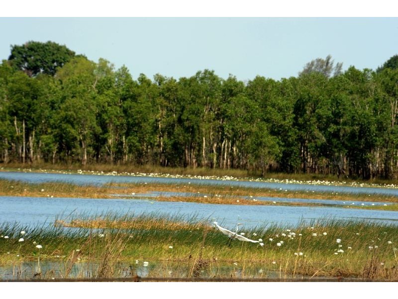 64 McMinns Drive, Mcminns Lagoon NT 0822