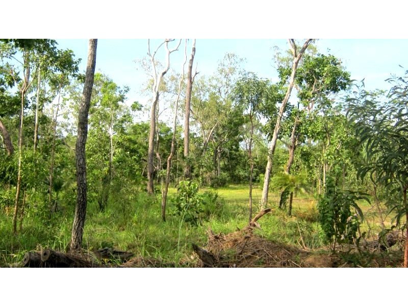 195 Mira Road (Tumbling Waters), Berry Springs NT 0838