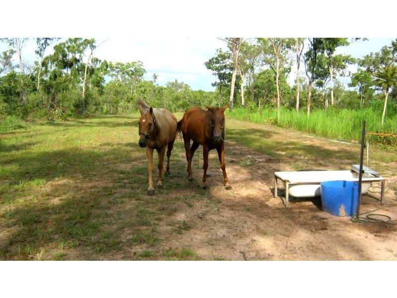 195 Mira Road (Tumbling Waters), Berry Springs NT 0838