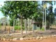 750 Leonino Road, Fly Creek NT 0822