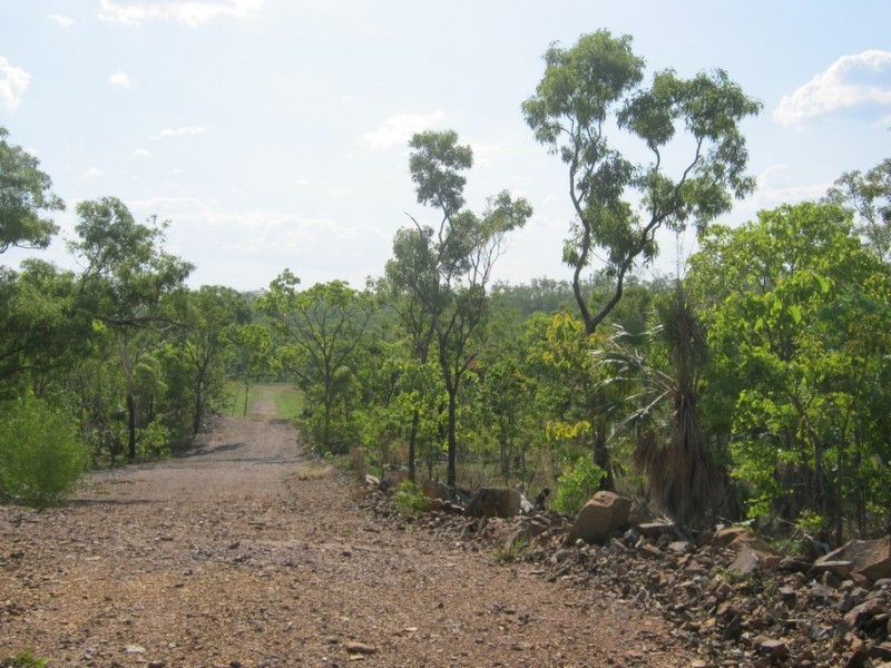 96 (Lot 01265) Echidna Road, Lake Bennett NT 0822