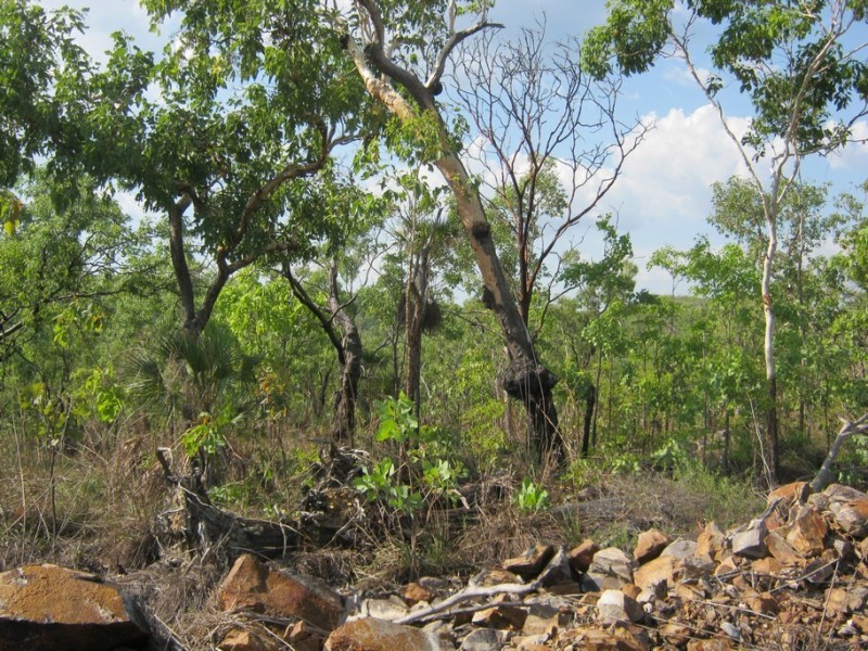 96 (Lot 01265) Echidna Road, Lake Bennett NT 0822