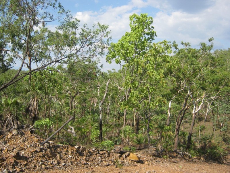 96 (Lot 01265) Echidna Road, Lake Bennett NT 0822