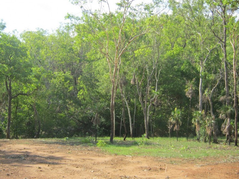 18 (Lot 01267) Echidna Road, Lake Bennett NT 0822