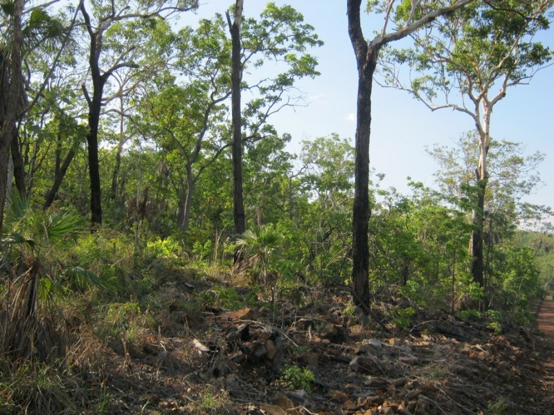 18 (Lot 01267) Echidna Road, Lake Bennett NT 0822