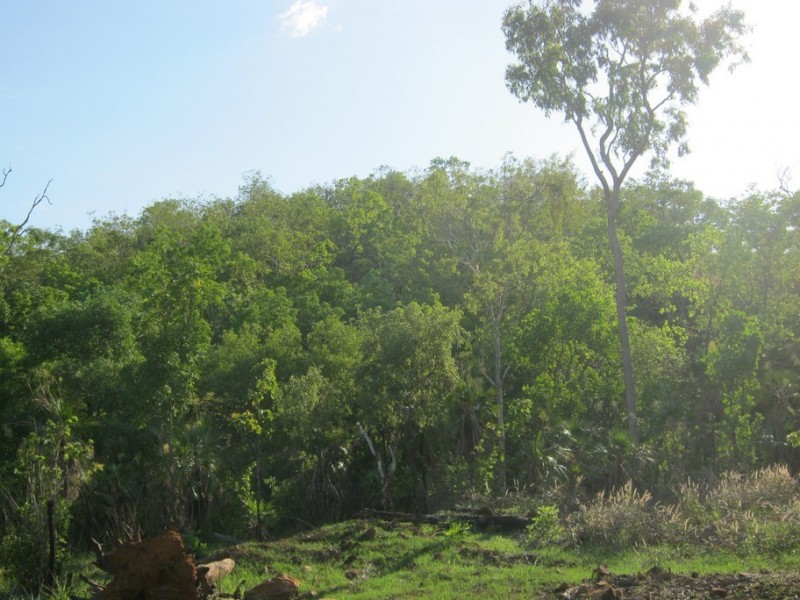 18 (Lot 01267) Echidna Road, Lake Bennett NT 0822