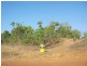 18 (Lot 01267) Echidna Road, Lake Bennett NT 0822