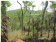 235 (Lot 1268) Cadogan Road, Lake Bennett NT 0822
