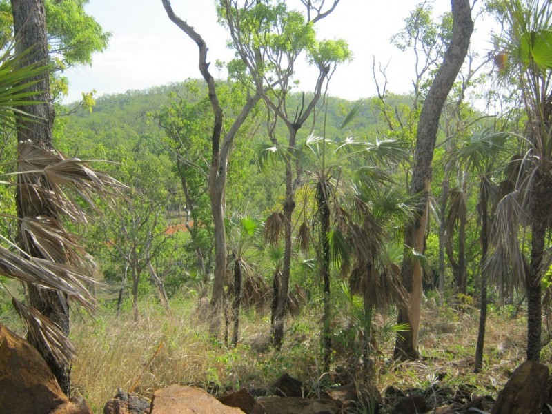 235 (Lot 1268) Cadogan Road, Lake Bennett NT 0822