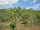235 (Lot 1268) Cadogan Road, Lake Bennett NT 0822