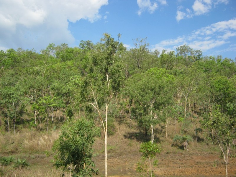 235 (Lot 1268) Cadogan Road, Lake Bennett NT 0822