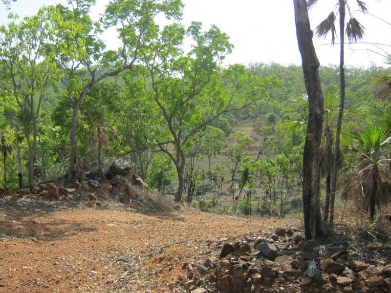 235 (Lot 1268) Cadogan Road, Lake Bennett NT 0822