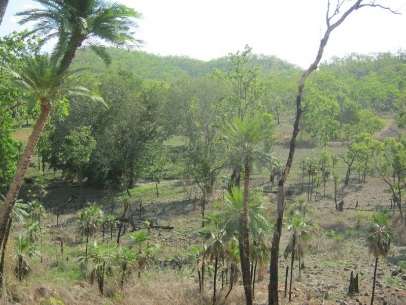 235 (Lot 1268) Cadogan Road, Lake Bennett NT 0822