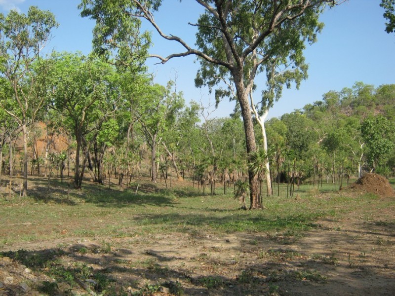 235 (Lot 1268) Cadogan Road, Lake Bennett NT 0822