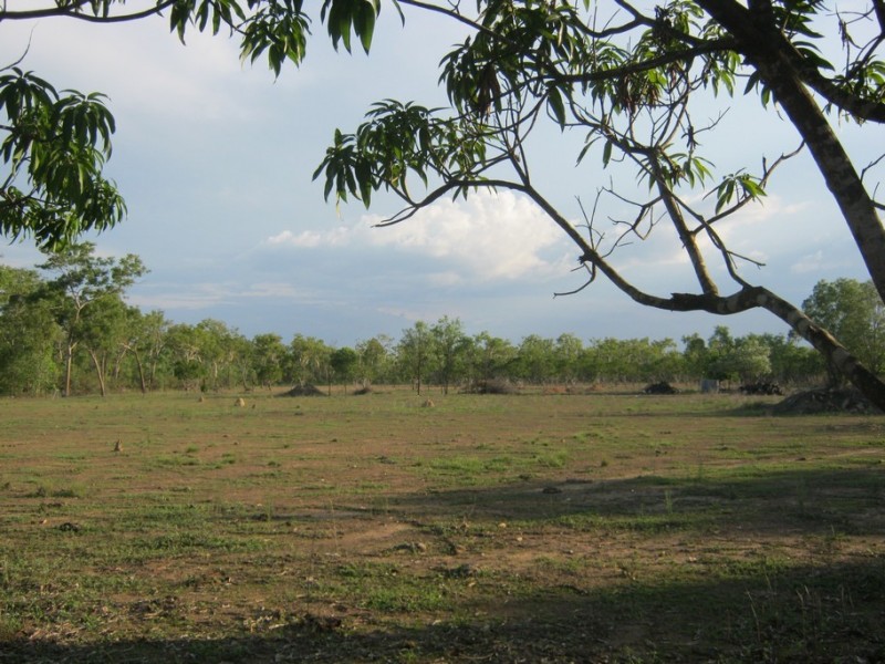 145 Trenow Road, Darwin River NT 0841