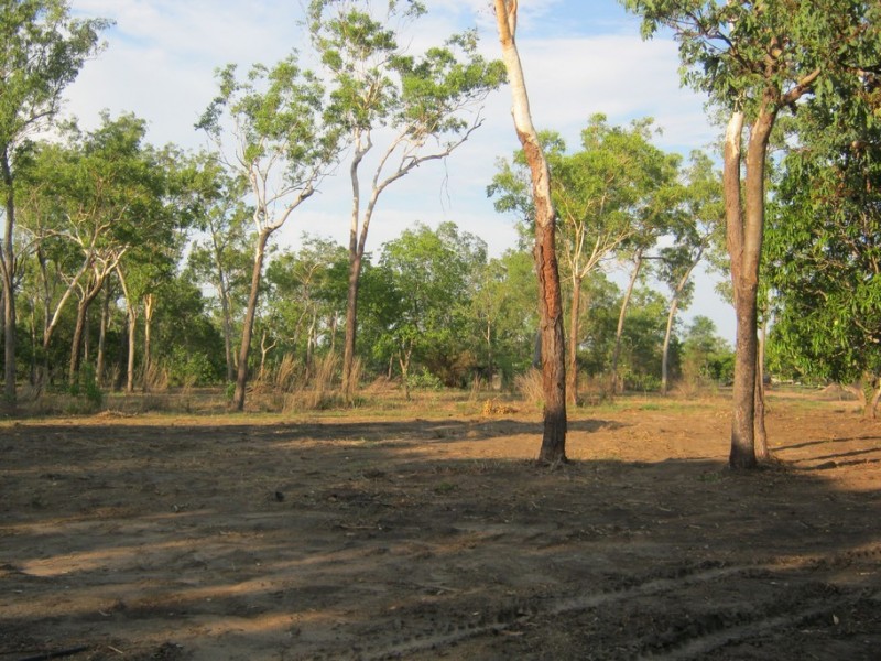 145 Trenow Road, Darwin River NT 0841