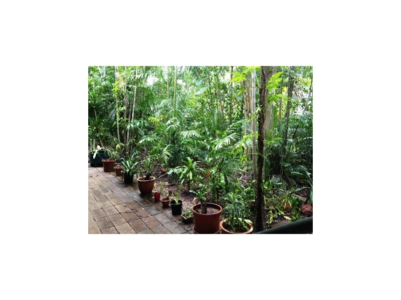 5 Nemarluk Court, Ludmilla NT 0820