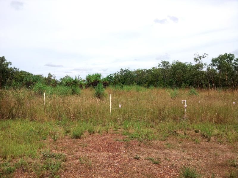 130 Wyatt Road, Marrakai NT 0822