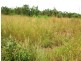 61 Wright Road, Marrakai NT 0822