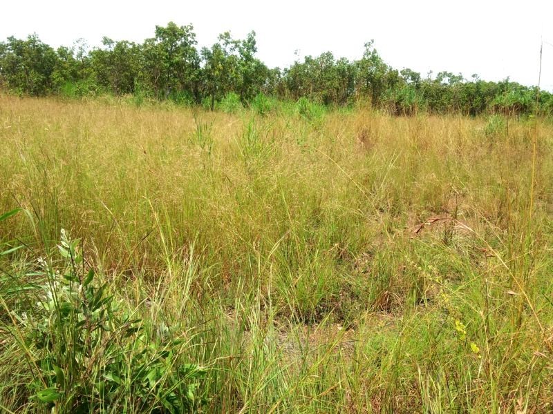 61 Wright Road, Marrakai NT 0822