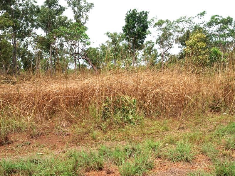 61 Wright Road, Marrakai NT 0822