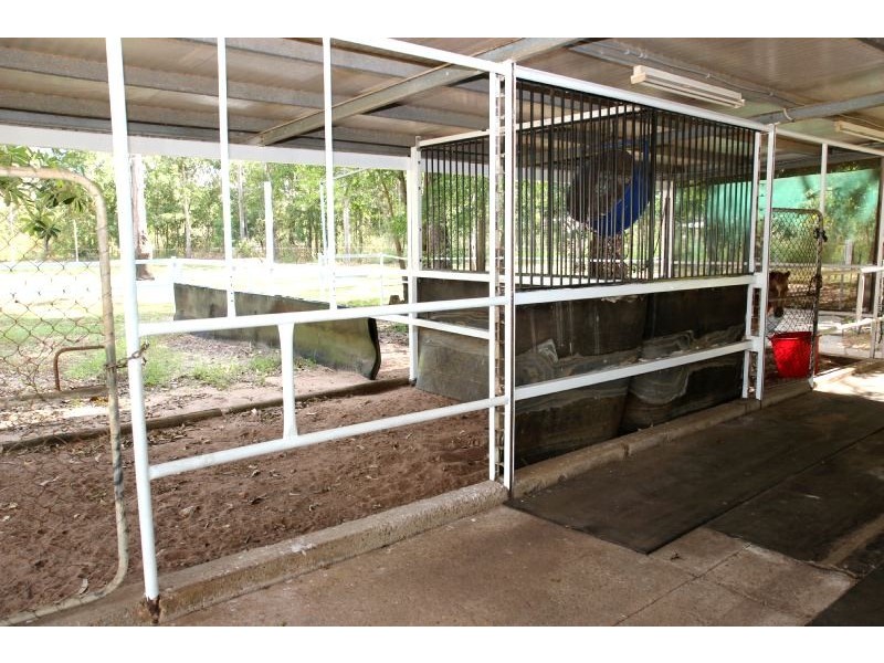 170 Westall Road, Howard Springs NT 0835