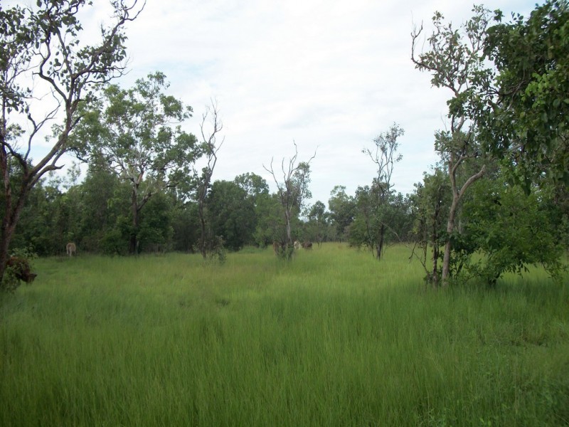 735 Letchford Road, Darwin River NT 0841