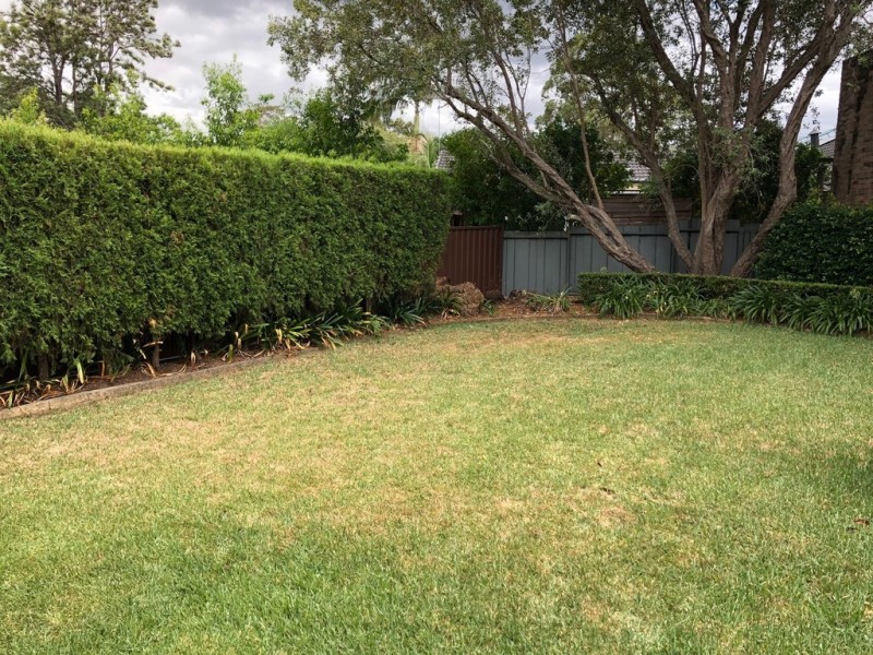 4 Robyn Street, Northmead NSW 2152