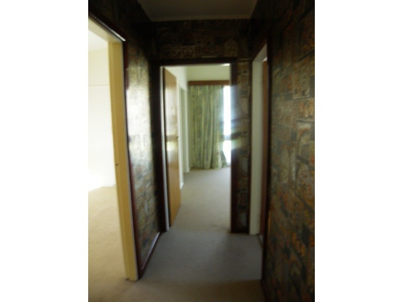 105 Toongabbie, Toongabbie NSW 2146