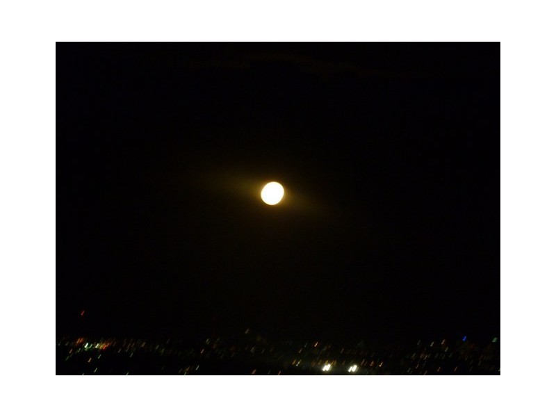 238/13-15 Hassall St, Parramatta NSW 2150