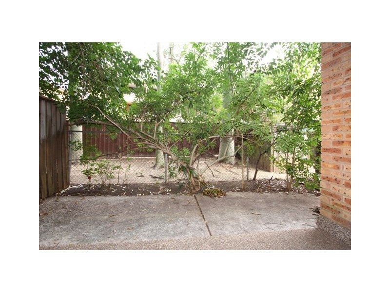 24 Helen, Westmead NSW 2145