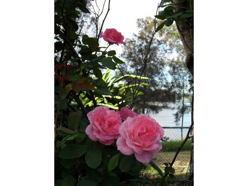 4 Mars Place, Lansvale NSW 2166