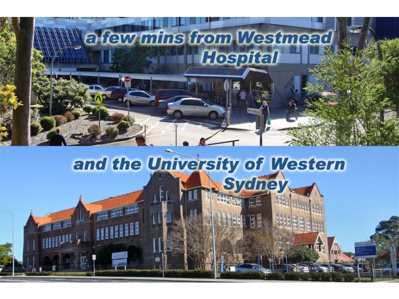 248 Great Western Highway, Wentworthville NSW 2145