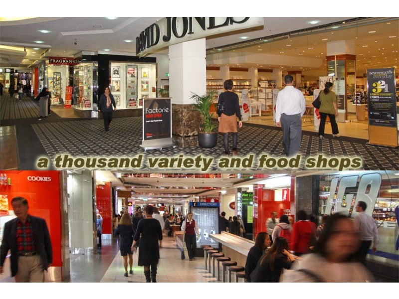 248 Great Western Highway, Wentworthville NSW 2145