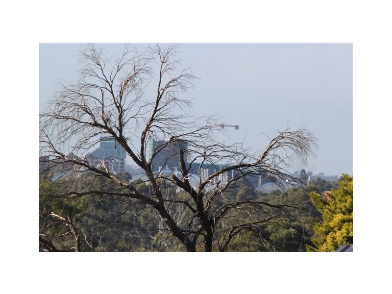 2/11A Page Street, Wentworthville NSW 2145