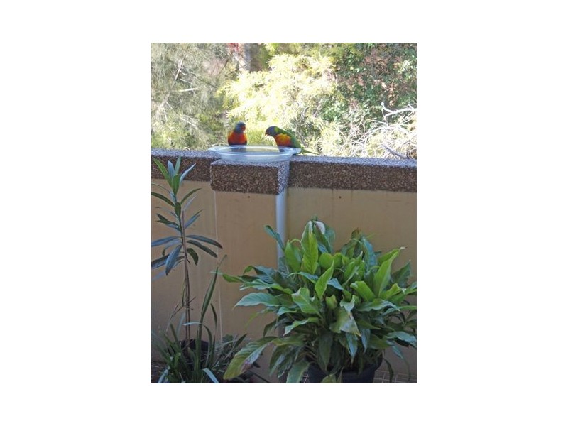 20/39-41 Ross Street, North Parramatta NSW 2151